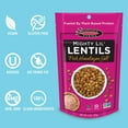 thumbnail image 2 of Seapoint Farms Mighty Lilâ€™ Lentils, Pink Himalayan Salt, Plant Based Protein, Vegan, Gluten-Free, Non-GMO, and Kosher Crunchy Snack for Healthy Snacking, 5 oz (Pack of 3), 2 of 3