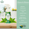 thumbnail image 4 of Absolute Green All Purpose Cleaner, Multi-Use , Safe around Kids + Pets, Natural Peppermint Scent, 25 oz, 4 of 7