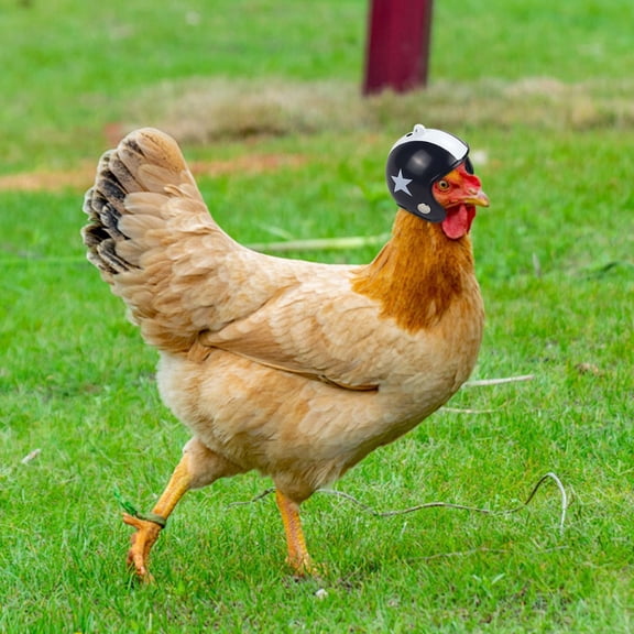 Black Adjustable Funny Protective Chicken Helmet Hat For Poultry Pet Costume Accessory Cosplay Black