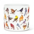 thumbnail image 1 of North American Birds Planter, 1 of 3