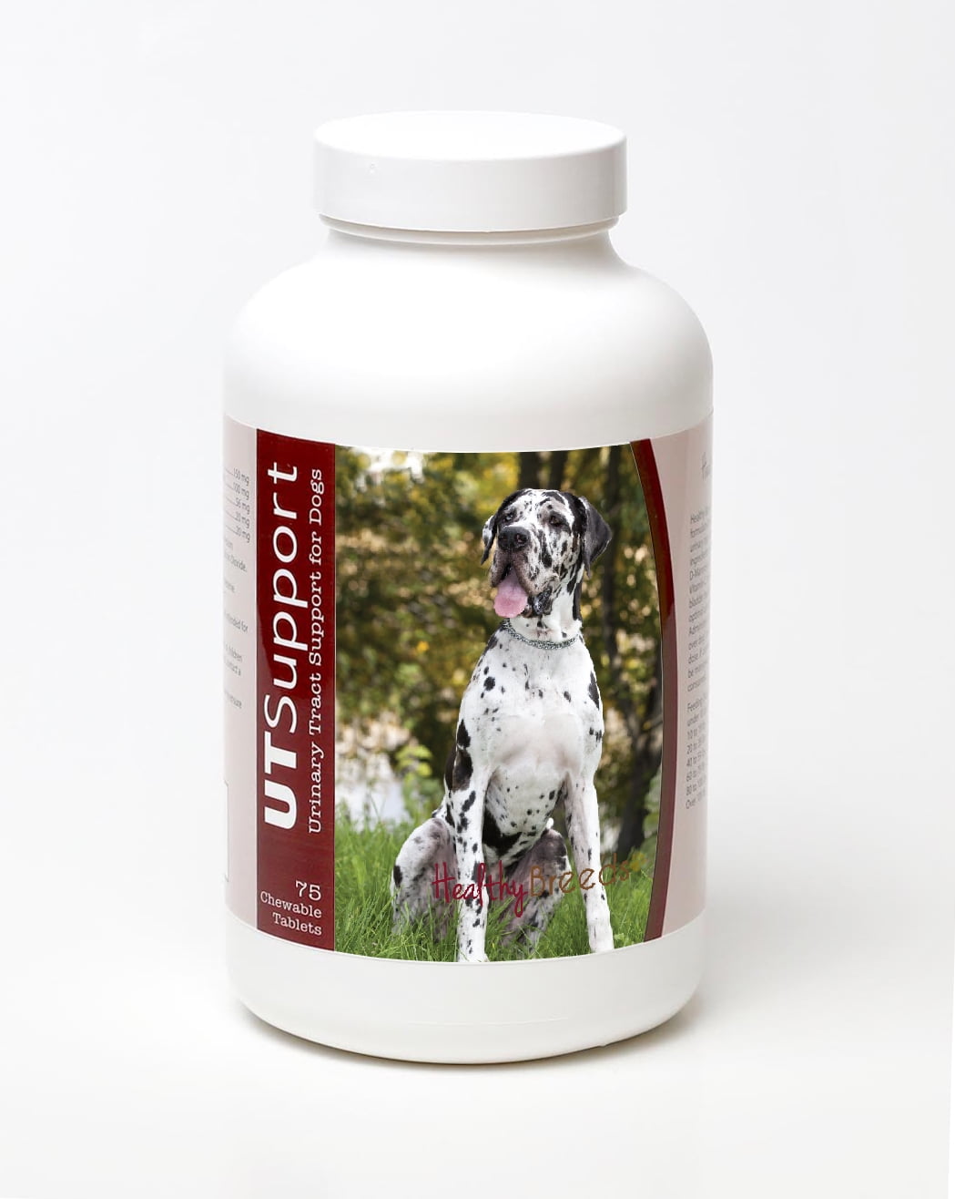 uti medicine for dogs walmart