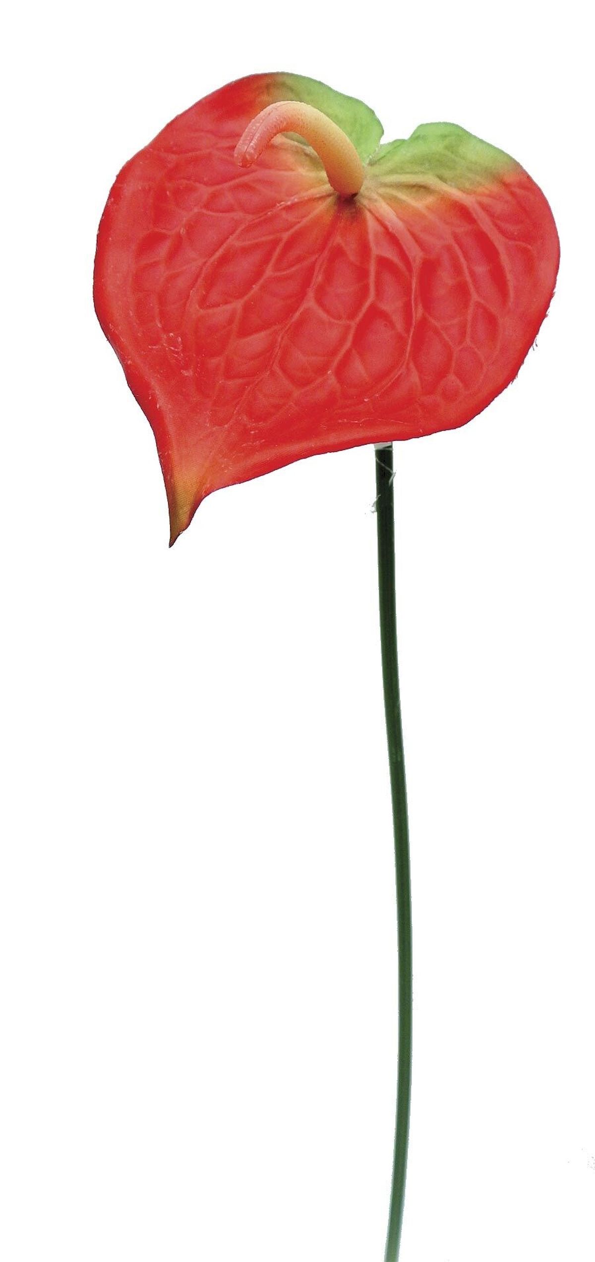 Red And Green Anthurium Leaf Faux Plants And Trees