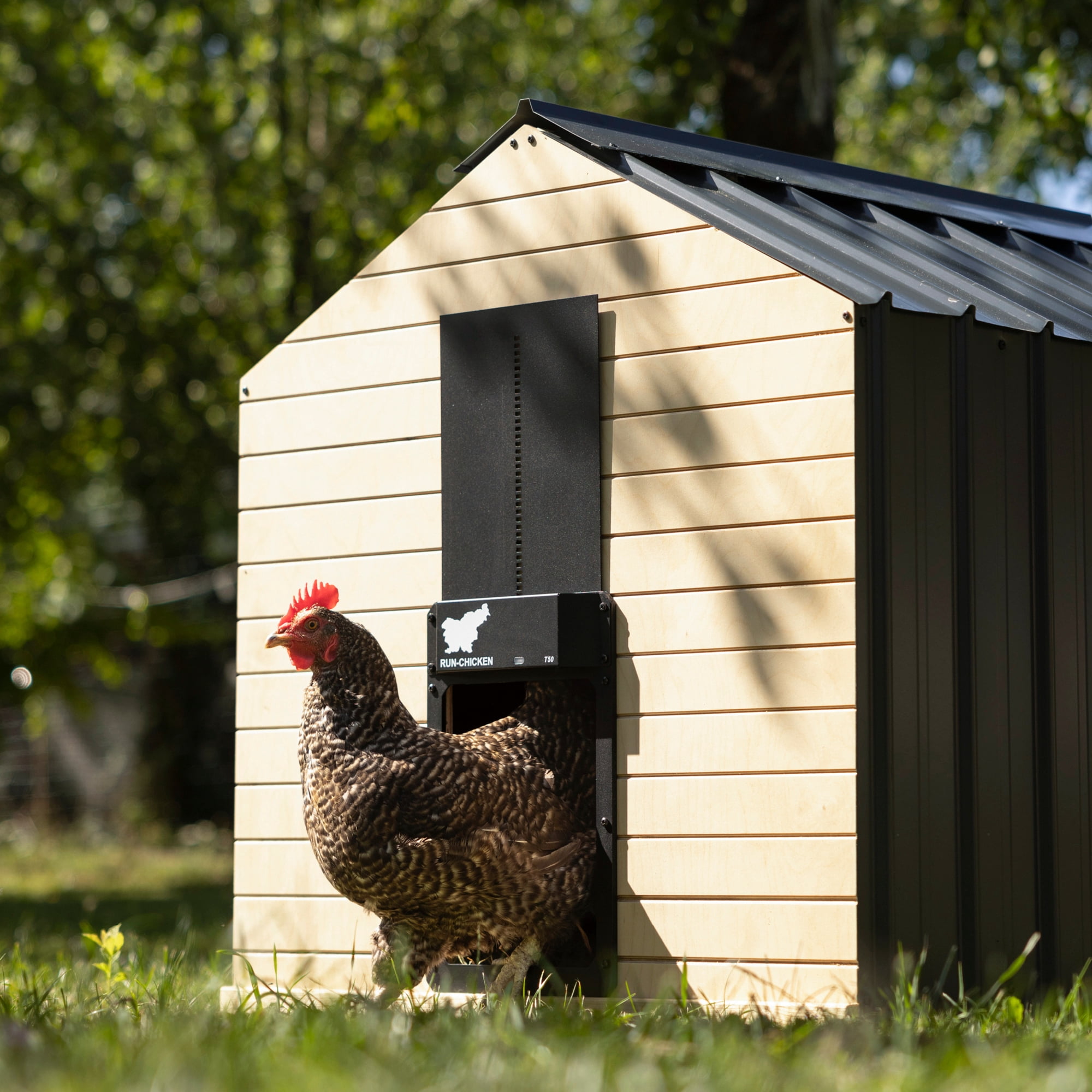 RUN-CHICKEN Door T50 (Onyx) - Automatic Chicken Coop Door Opener with Timer