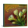 thumbnail image 1 of Crocus Orange Label (16x15 Gallery Wrapped Stretched Canvas), 1 of 1