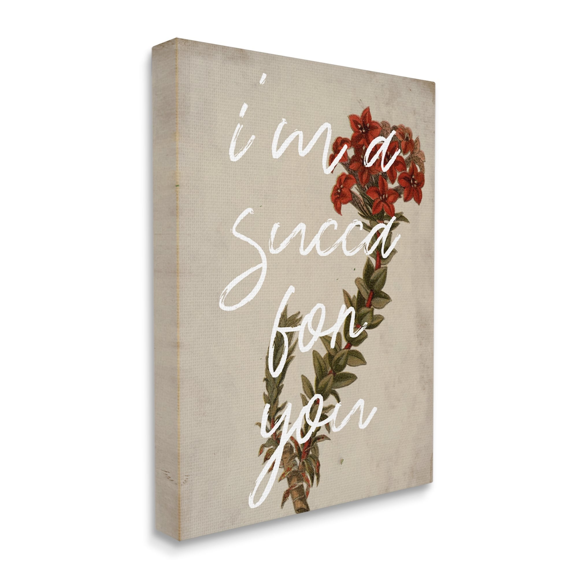 Stupell Industries Succa For You Romantic Witty Plant Humor Phrase Canvas Wall Art, 30 x 40, Design by Lil' Rue