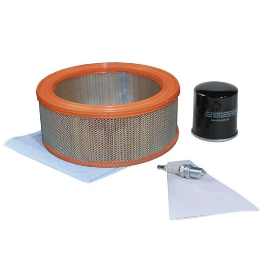 Generac Generator Maintenance Kit,6FDL8 6003
