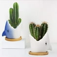 thumbnail image 4 of Ceramic Plant Pot Indoor - shark, 4 of 4