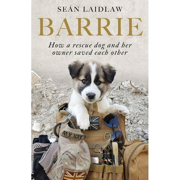 Barrie : How a rescue dog and her owner saved each other (Paperback)