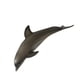 thumbnail image 1 of Animales Oceánico Pintados Con Fines Educativos shamjiam Juguetes Sensoriales Juegos de Pesca, 1 of 8
