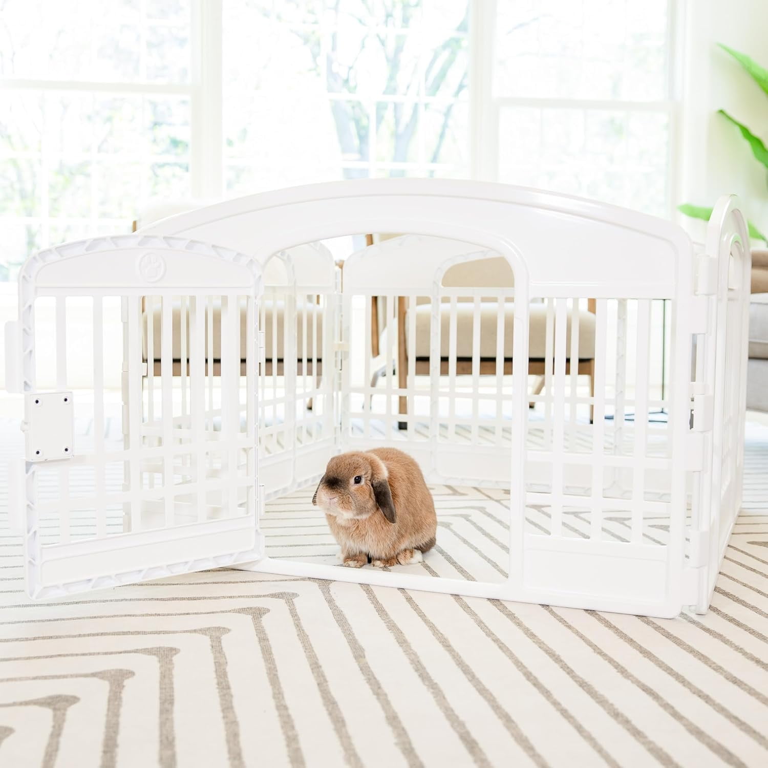 Carlson 24-Inch 4-Panel Plastic Pet Playpen with Door - White