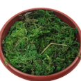 thumbnail image 4 of SUTENGDA Faux Moss Outdoor Artificial Moss Moss for DIY Projects 28x27cm Green, 4 of 6