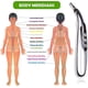 thumbnail image 5 of Acupuncture Pen USB Rechargeable Electronic Acupuncture Meridian Therapy Machine Massage Pen Relief Pain Tools with 3 Massage Heads 9 Levels, 5 of 5