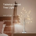 thumbnail image 4 of Birch Tree Valentines Day Decorations Indoor for Home,2ft 24LED Warm White Light Up Birch Tree，Battery&USB Tabletop Timer Artificial Mini Christmas Tree with Lights for Holiday Party Wedding, 4 of 5