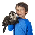 thumbnail image 3 of Folkmanis River Otter Hand Puppet, Brown, 1 EA, 3 of 4