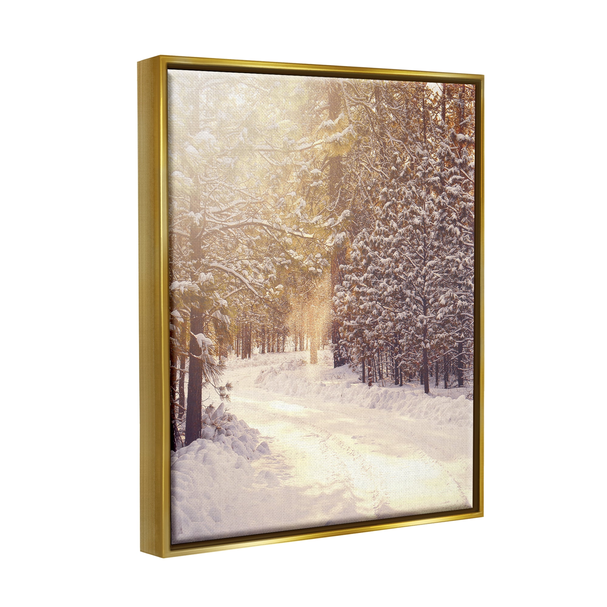 Stupell Industries Snowy Winter Path Nature Photography Gold Floater Framed Art Print Wall Art, 25 x 31