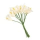 thumbnail image 2 of 12 mini lirios artificiales de cala para novia, boda, decoración de fiesta, ramo de flores de PE de tacto real (marfil), 2 of 7