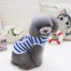 thumbnail image 5 of Ropa de mascota de Adorable para Disfraces de Mascotas Clásico de Rayas 5 Tallas S Yuyangstore Ropa para perros, 5 of 8