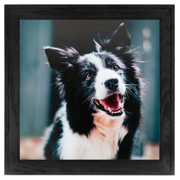 ArtToFrames 14x14" Black Picture Frame, Black Wood Poster Frame, with Regular Glass and Foam Backing 3/16 inch (FBPL-4103)