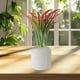 thumbnail image 4 of Crea hojas tropicales altas y brillantes para decorar interiores y exteriores en cualquier época del año. Decoración para patios y porches. Embellece tu jardín., 4 of 5