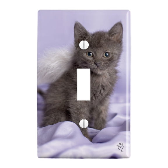 Domestic Shorthair Kitten Cat Angel Wings Purple Satin Plastic Wall Decor Toggle Light Switch Plate Cover