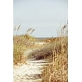 thumbnail image 2 of Bryant, Susan 17x24 White Modern Wood Framed Museum Art Print Titled - Palm To Beach, 2 of 4