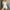 1# White lightning deals of today, variant on Dyegold One Piece Jumpsuits For Women Sleeveless Seamless Workout Bodycon Summer Bodysuit Rompers Unitard Yoga Outfits 2025 Summer Savings Clearance