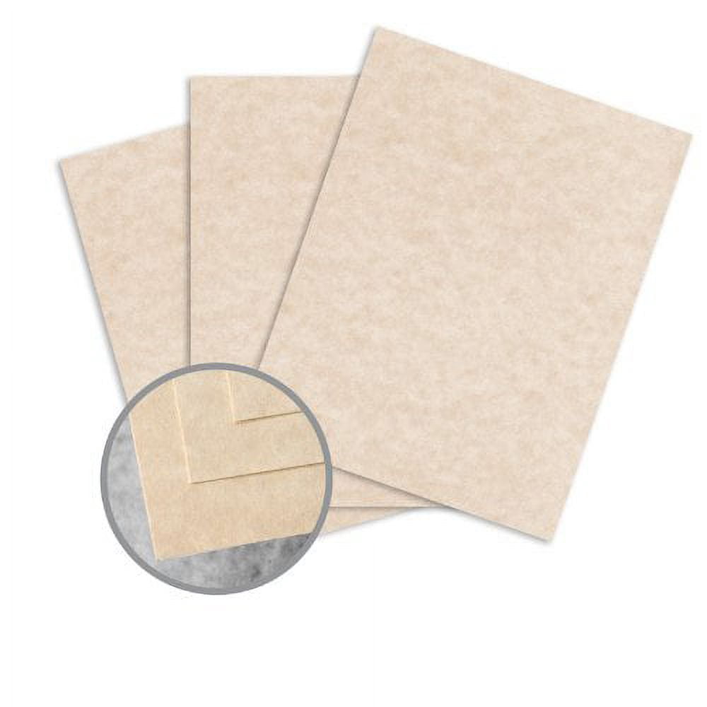 Skytone Brown Card Stock - 8 1/2 x 11 in 65 lb Cover Vellum 30% Recycled 250 per Package