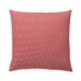 thumbnail image 1 of Ahgly Company Outdoor Square Contemporary Throw Pillow, 18 inch by 18 inch, 1 of 5