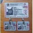 thumbnail image 4 of Kit Credencial Para Mascotas Tipo Ine, Ife, Gato, Con Envío, 4 of 5