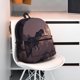 thumbnail image 5 of Balery Dinosaur Moonlit Forest Mochila para Mujeres y Hombres, Mochila Ligera Casual para Viajes, Mochila Clásica Básica para la Universidad, 5 of 6