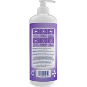 Vagisil Feminine Wash for Intimate Area Hygiene, pH Balance, Gynecologist Tested, Hypoallergenic, 16.9 fl oz,