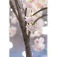 thumbnail image 4 of Small Pink Cherry Blossom Tree With 66 Warm White Led, 4 of 5