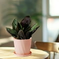 thumbnail image 4 of Weloille Scandinavian - Style Resin Flower Pot with Tray, Large - Size Imitation Ceramic Planter, Concise and Durable for Home/Office Greenery, 4 of 6