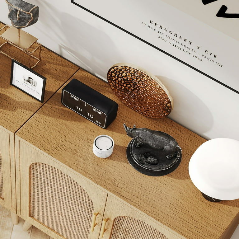 Rovaurx Rattan Storage Cabinet Set, Cabinets with Doors