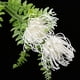 thumbnail image 2 of Ramo de flores de seda artificial Sunnimix Bouquet 1 pieza 40 cm, 2 of 8