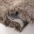 thumbnail image 2 of Safavieh Paris Darwin Plush Shag Area Rug, 2 of 7
