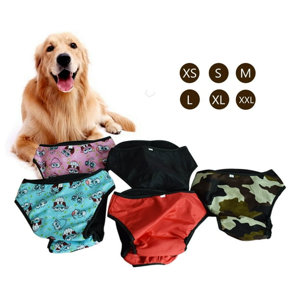 Dog underwear for period discount