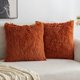 thumbnail image 1 of MIULEE Paquete de 2 Fundas de Almohada de Lujo de Piel sintética Fundas de Almohada de Felpa Decorativas de Invierno de Lujo Fundas de cojín para sofá de Navidad Dormitorio Coche 18x18 Pulgadas Verde, 1 of 4