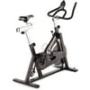 Gold's Gym Cycle Trainer 310 Exercise Bike