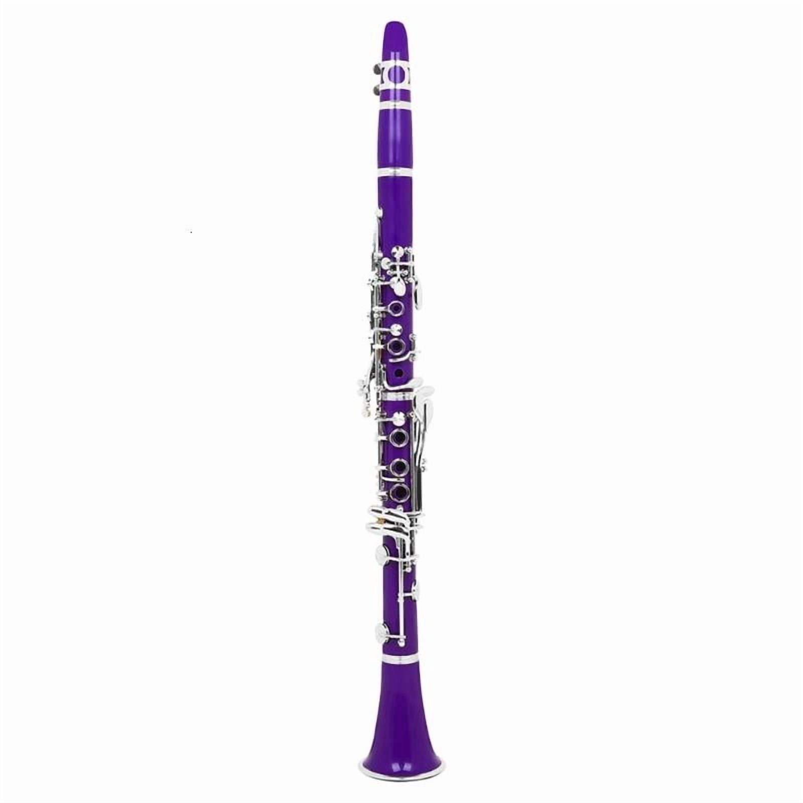 CEORPER 17 Keys Clarinet with Clarinet Carrying Case and Clarinet Maintaince Tool Set