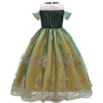 thumbnail image 3 of Robe Anna pour Filles Anniversaire Mariage Fête Concours Occasion Spéciale Robe de Princesse Déguisement, 3 of 7