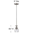 thumbnail image 7 of 5317PL Hinkley Lighting Plantation - 1 Light Small Pendant in Traditional-Glam Style - 5 Inches Wide by 8.25 Inches High-Polished Antique Nickel, 7 of 7