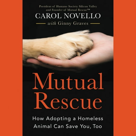 Mutual Rescue: How Adopting a Homeless Animal Can Save You, Too (Best Way To Help Homeless People)