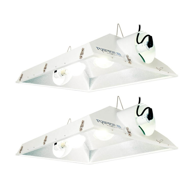 Raptor grow lights for sale deals