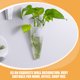 thumbnail image 3 of WEUVEB 2Ud Macetas Colgantes De Pared Para Plantas Y Decorativas Transparentes Para Hogar Y Jardín, 3 of 8