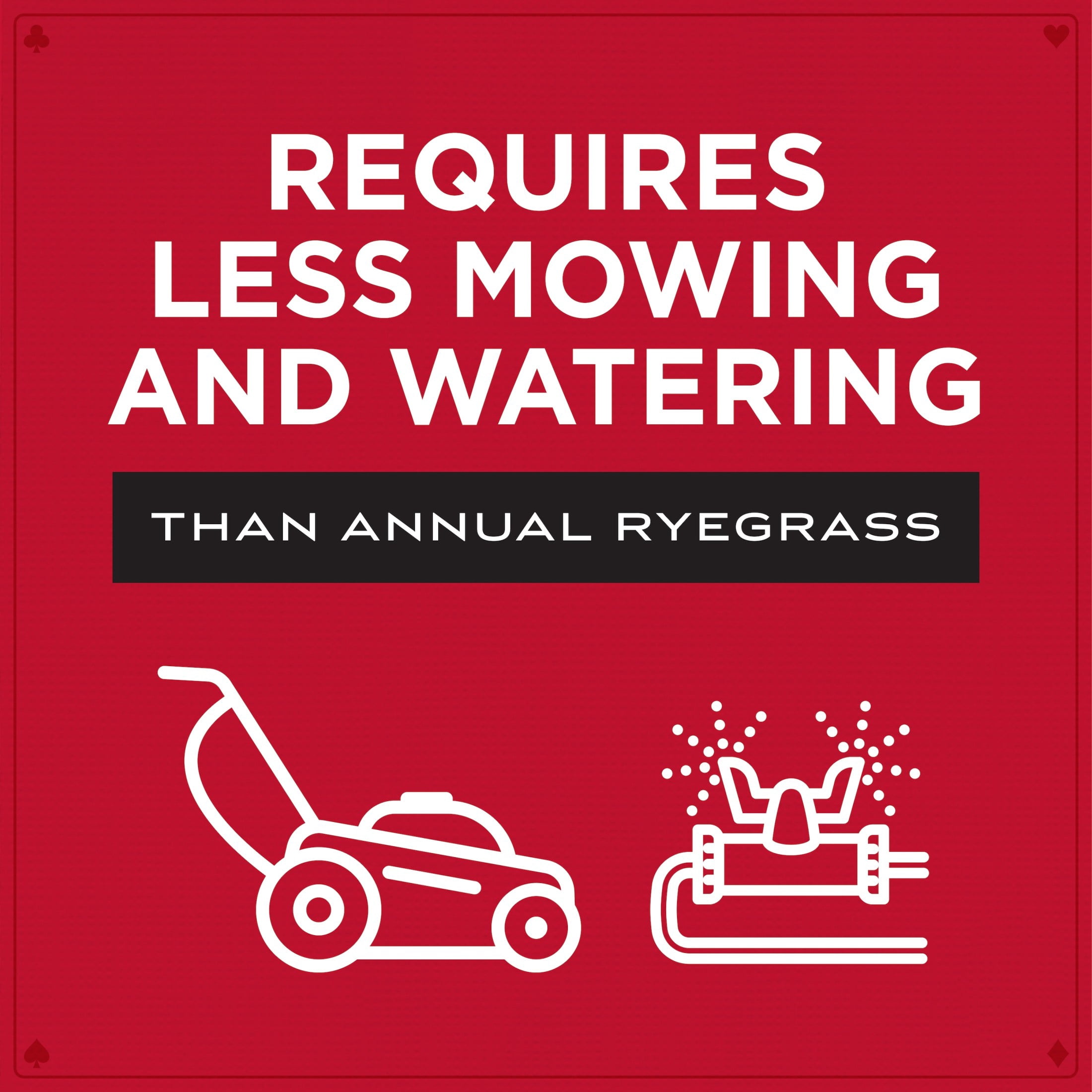 Pennington Royal Flush Overseeding Blend 50 lb