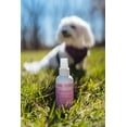 thumbnail image 6 of Breedwise Pet Provisions Dog Cologne Mist, Odor Control Perfume Spray, Fresh Scented Fragrance, 6 of 8