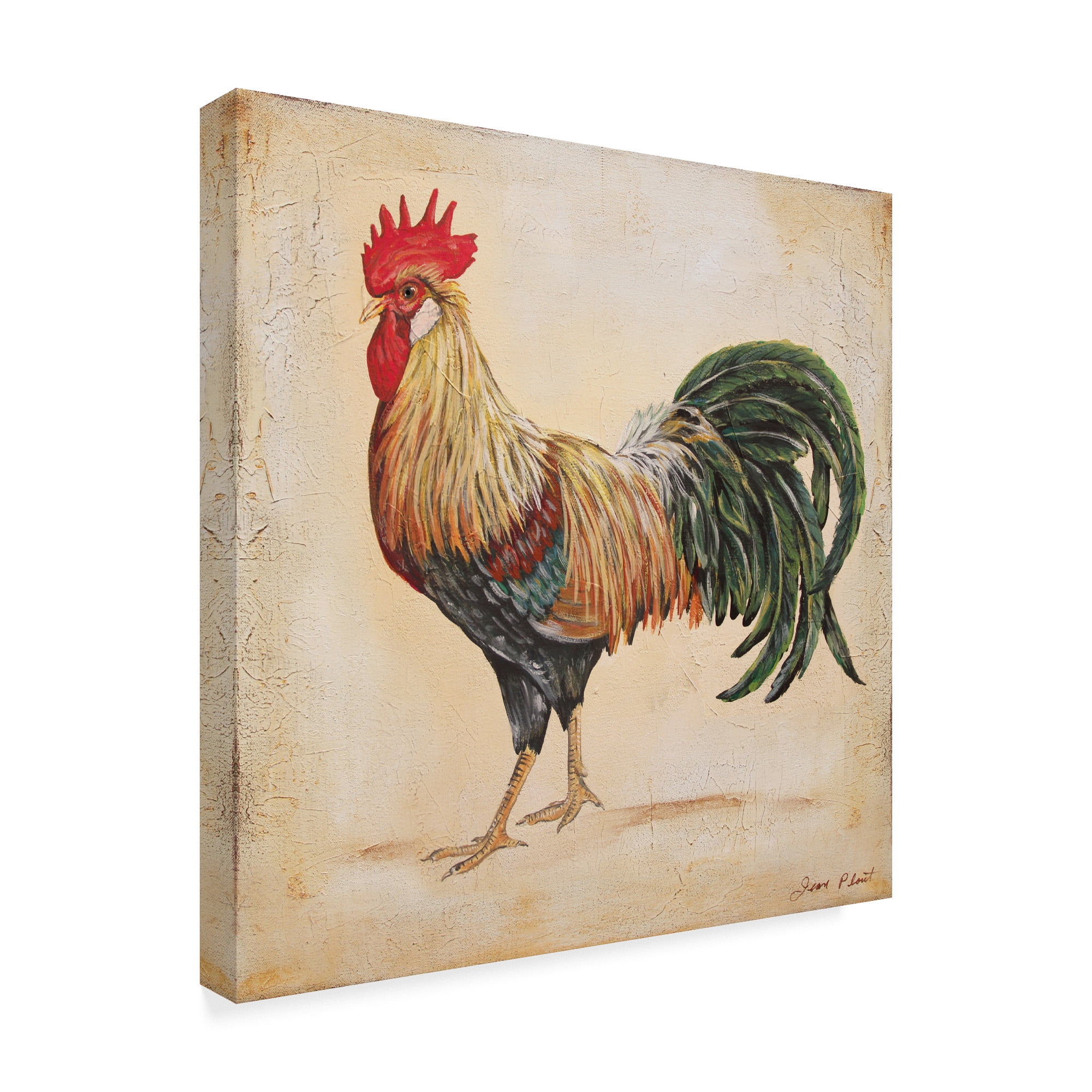 Trademark Fine Art 'Rooster 3' Canvas Art by Jean Plout