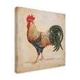 thumbnail image 2 of Trademark Fine Art 'Rooster 3' Canvas Art by Jean Plout, 2 of 3