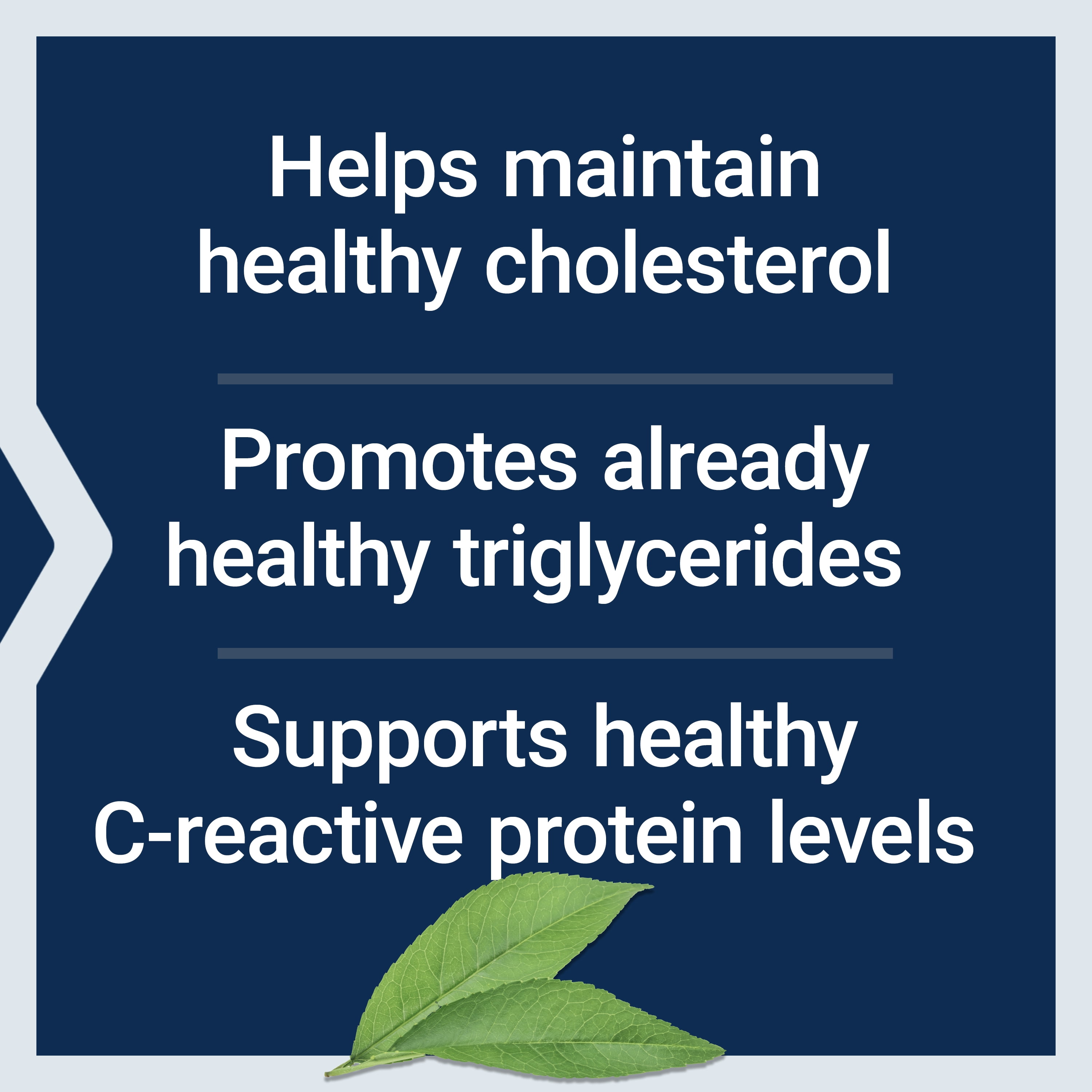 Life Extension Provinal Purified Omega-7, palmitoleic Acid derived from Highly Concentrated Marine Oil, Cholesterol, triglycerides & Heart Health Support, Gluten-Free, Non-GMO, 30 softgels